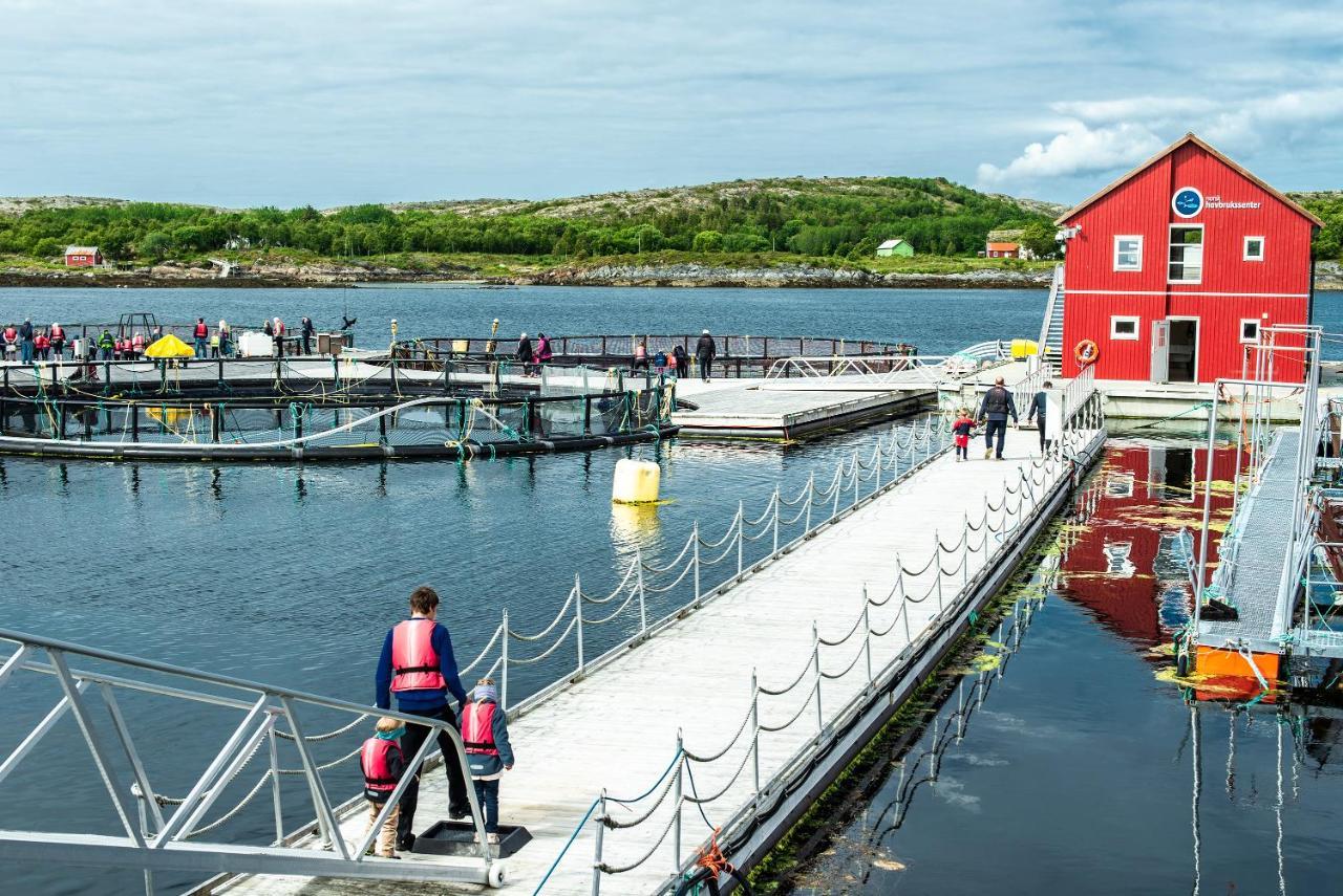 Norsk Havbrukssenter - Rorbuer Hotel Bronnoysund Exterior photo