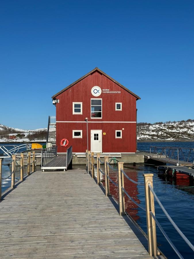Norsk Havbrukssenter - Rorbuer Hotel Bronnoysund Exterior photo