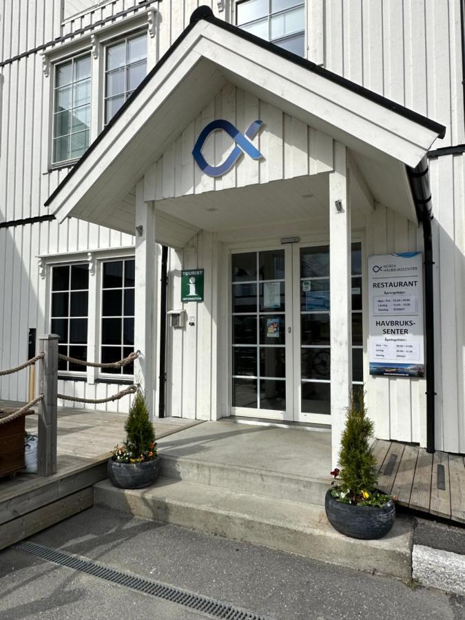 Norsk Havbrukssenter - Rorbuer Hotel Bronnoysund Exterior photo
