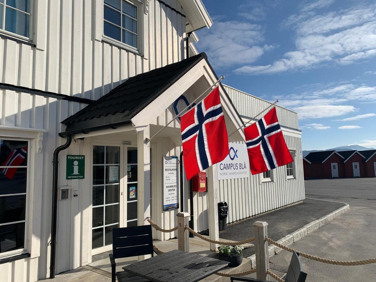 Norsk Havbrukssenter - Rorbuer Hotel Bronnoysund Exterior photo