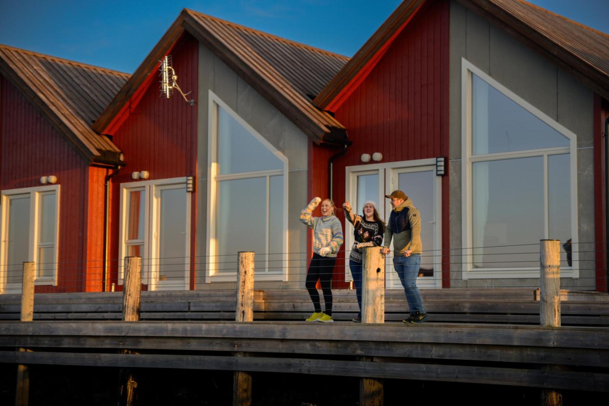 Norsk Havbrukssenter - Rorbuer Hotel Bronnoysund Exterior photo